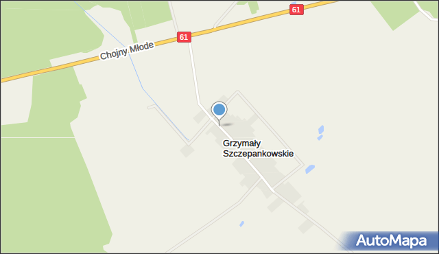 Grzymały Szczepankowskie, Grzymały Szczepankowskie, mapa Grzymały Szczepankowskie