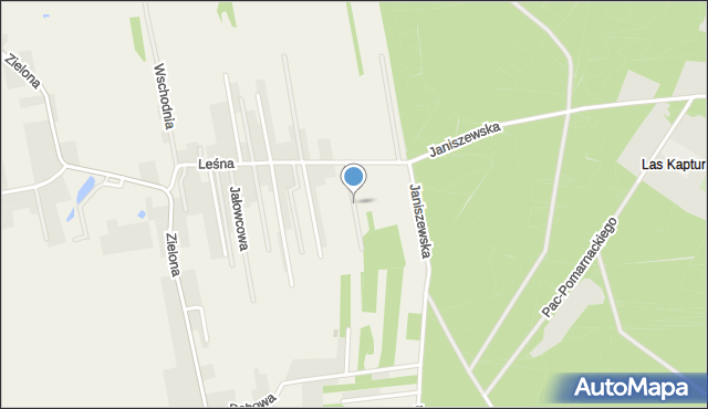 Janiszew gmina Zakrzew, Grabowa, mapa Janiszew gmina Zakrzew