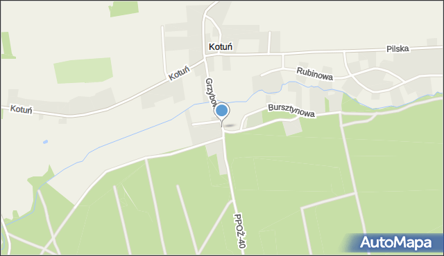 Kotuń gmina Szydłowo, Grzybowa, mapa Kotuń gmina Szydłowo