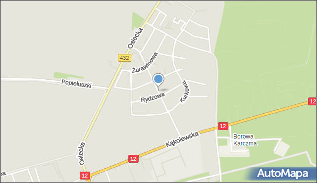 Leszno, Grzybowa, mapa Leszno