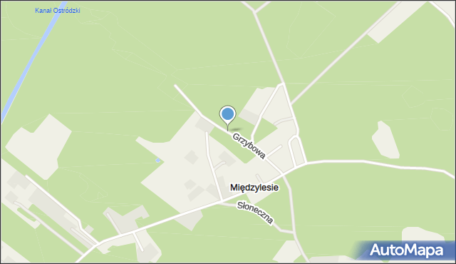 Międzylesie gmina Ostróda, Grzybowa, mapa Międzylesie gmina Ostróda