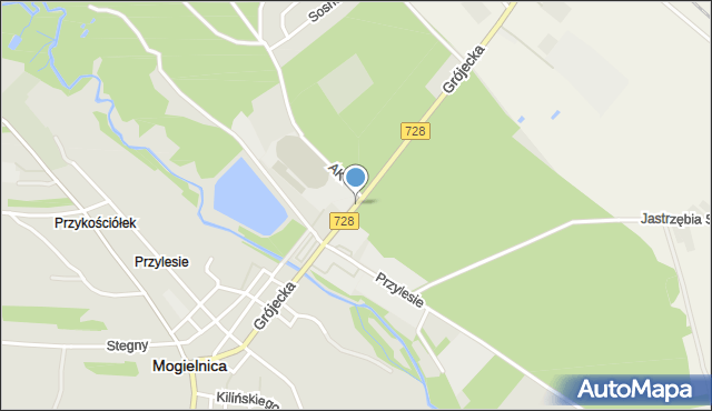 Mogielnica powiat grójecki, Grójecka, mapa Mogielnica powiat grójecki