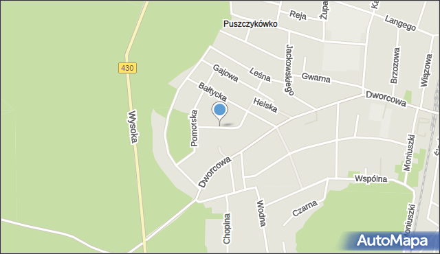 Puszczykowo powiat poznański, Grunwaldzka, mapa Puszczykowo powiat poznański