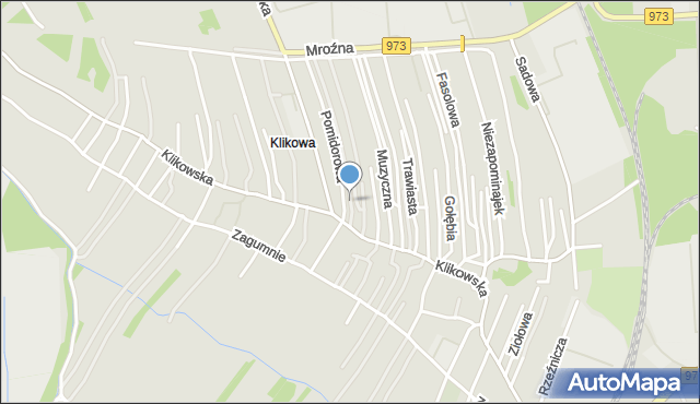 Tarnów, Grzybowa, mapa Tarnów