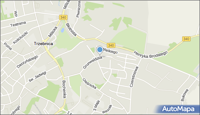 Trzebnica, Grunwaldzka, mapa Trzebnica