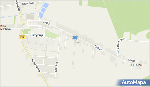 Trzyciąż, Graniczna, mapa Trzyciąż