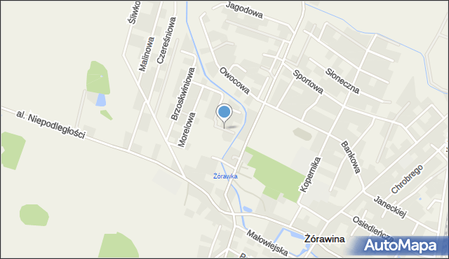 Żórawina, Gruszkowa, mapa Żórawina