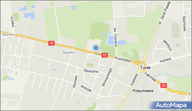 Turek, Gwarna, mapa Turka