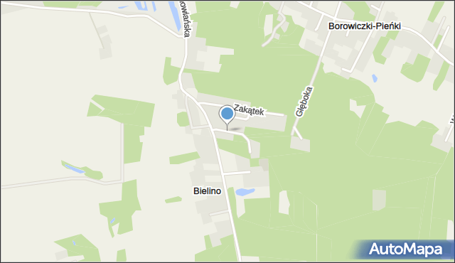 Borowiczki-Pieńki, Iglasta, mapa Borowiczki-Pieńki