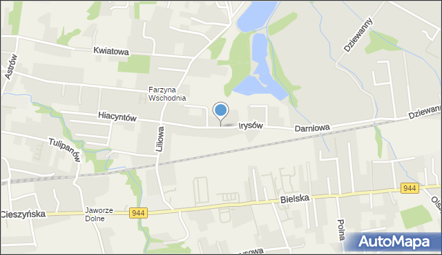 Jasienica powiat bielski, Irysów, mapa Jasienica powiat bielski