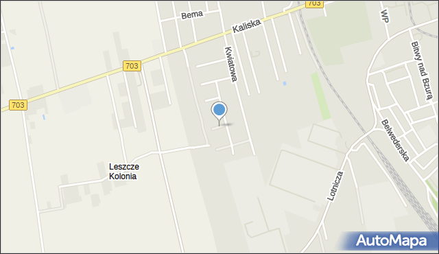 Łęczyca, Irysowa, mapa Łęczyca