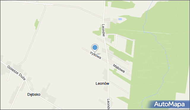 Leonów gmina Wolbórz, Irysowa, mapa Leonów gmina Wolbórz