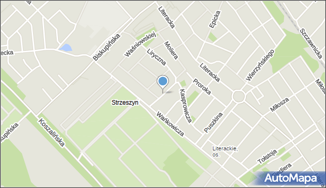 Poznań, Irzykowskiego Karola, mapa Poznania