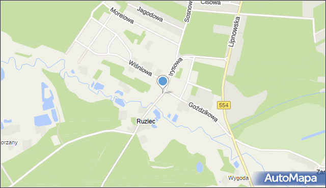 Ruziec, Irysowa, mapa Ruziec