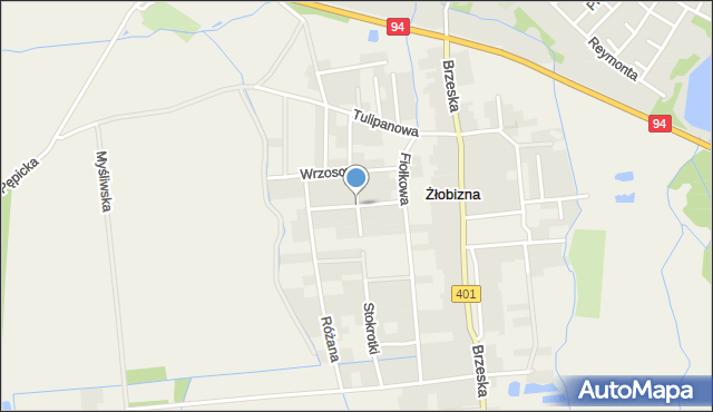 Żłobizna, Irysowa, mapa Żłobizna