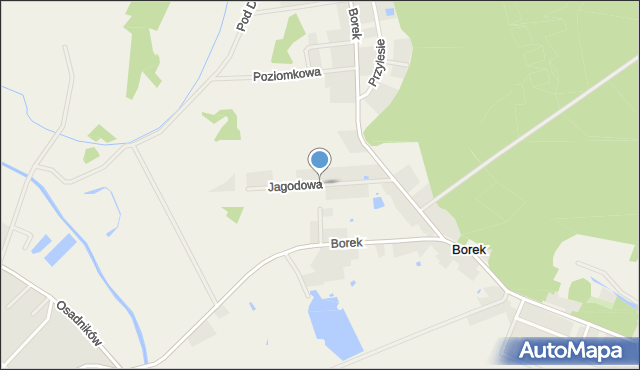 Borek gmina Głogów, Jagodowa, mapa Borek gmina Głogów