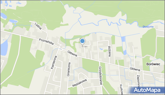 Borówiec gmina Kórnik, Jagodowa, mapa Borówiec gmina Kórnik