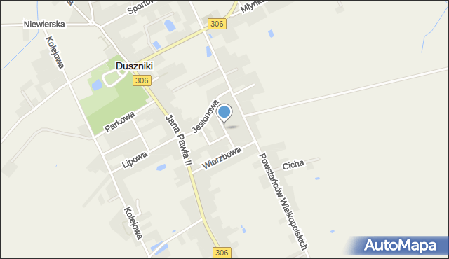 Duszniki powiat szamotulski, Jarzębinowa, mapa Duszniki powiat szamotulski