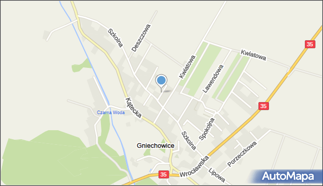 Gniechowice, Jabłoniowa, mapa Gniechowice