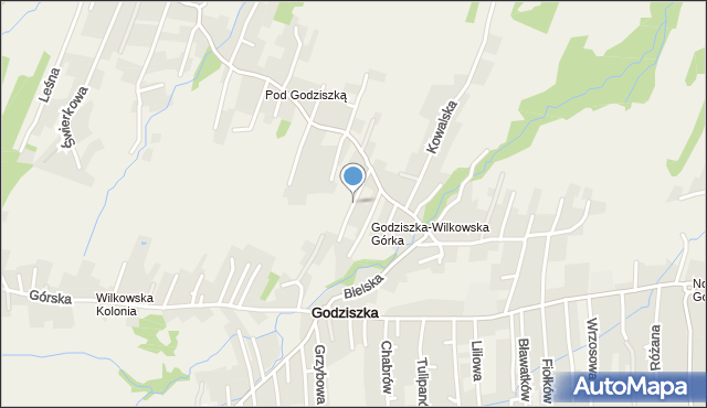 Godziszka gmina Buczkowice, Jagodowa, mapa Godziszka gmina Buczkowice