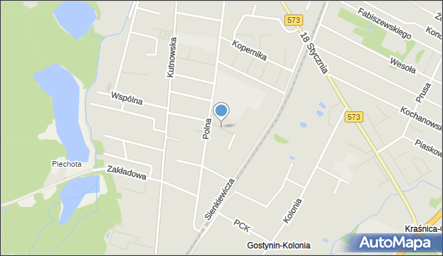 Gostynin, Jasna, mapa Gostynin