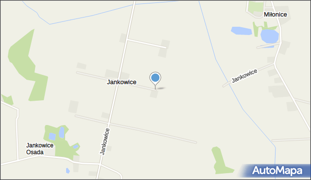 Jankowice gmina Krośniewice, Jankowice, mapa Jankowice gmina Krośniewice