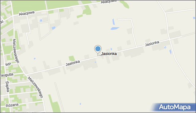 Jasionka gmina Zgierz, Jasionka, mapa Jasionka gmina Zgierz