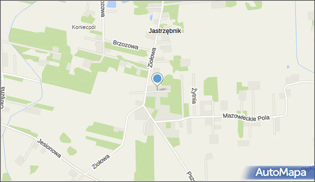 Jastrzębnik gmina Żabia Wola, Jarzębinowa, mapa Jastrzębnik gmina Żabia Wola