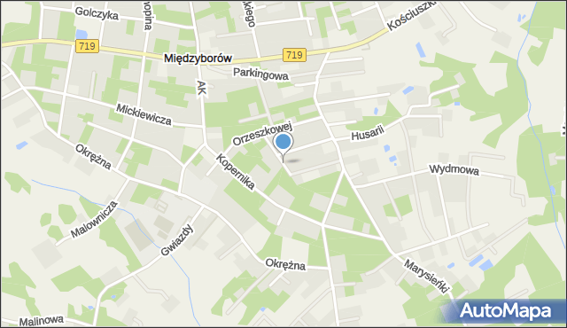 Międzyborów, Jagodowa, mapa Międzyborów