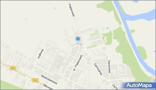 Psarskie gmina Śrem, Jarzębinowa, mapa Psarskie gmina Śrem