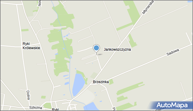 Ryki, Jankowszczyzna, mapa Ryki