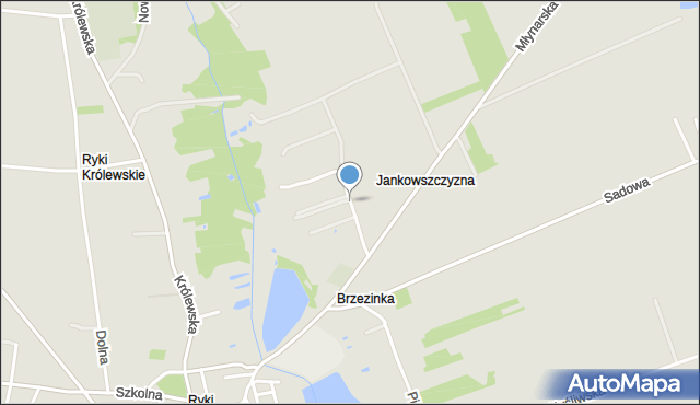 Ryki, Jankowszczyzna, mapa Ryki