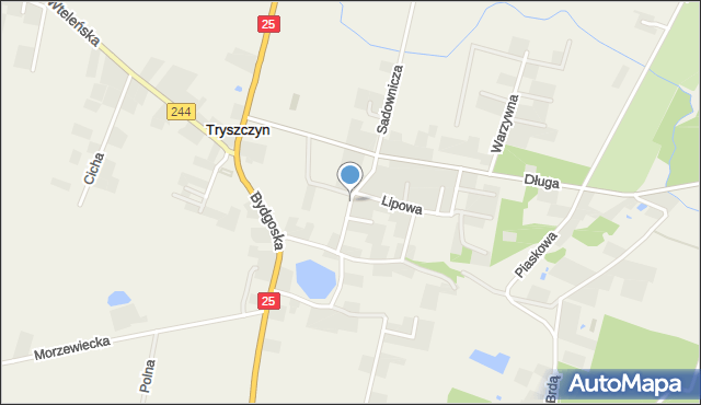 Tryszczyn, Jaworowa, mapa Tryszczyn