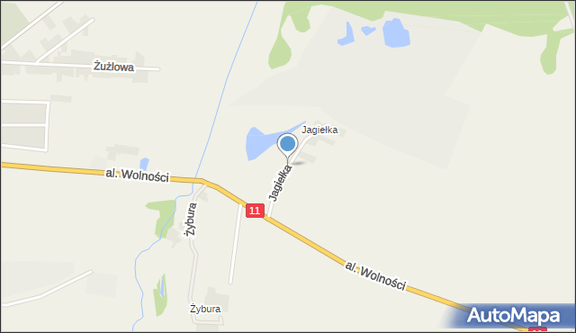 Witaszyce, Jagiełka, mapa Witaszyce