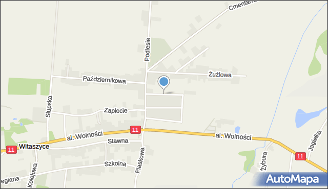 Witaszyce, Jarzębinowa, mapa Witaszyce