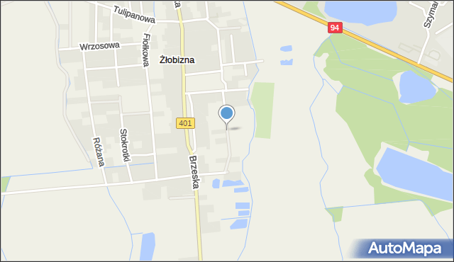 Żłobizna, Jagodowa, mapa Żłobizna