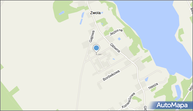 Zwola gmina Zaniemyśl, Jagodowa, mapa Zwola gmina Zaniemyśl