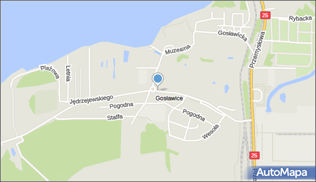 Konin, Jędrzejewskiego Dominika, ks., mapa Konina