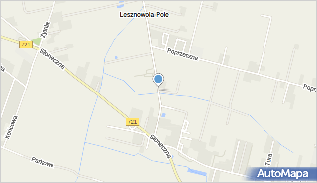 Lesznowola powiat piaseczyński, Jedności, mapa Lesznowola powiat piaseczyński