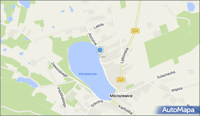 Mściszewice, Jeziorna, mapa Mściszewice