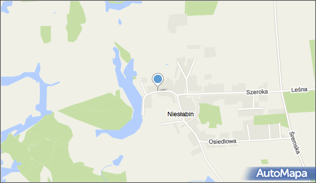 Niesłabin, Jeziorna, mapa Niesłabin