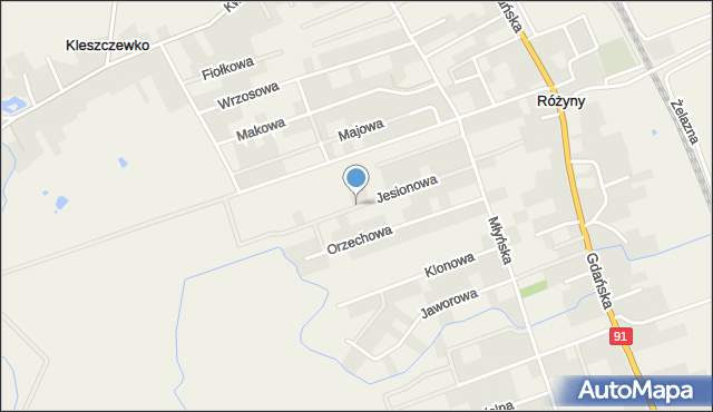 Różyny, Jesionowa, mapa Różyny