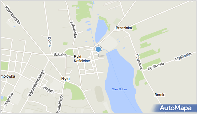 Ryki, Jeziorna, mapa Ryki