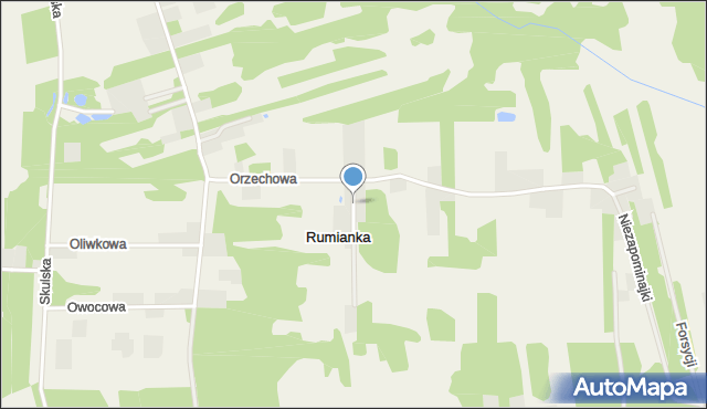 Rumianka, Jodłowa, mapa Rumianka