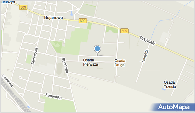 Bojanowo powiat rawicki, Kasztanowa, mapa Bojanowo powiat rawicki