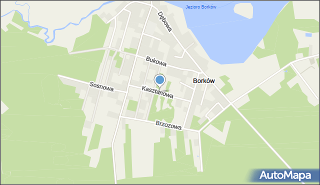 Borków gmina Daleszyce, Kasztanowa, mapa Borków gmina Daleszyce
