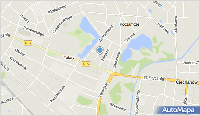 Ciechanów, Kasztanowa, mapa Ciechanów