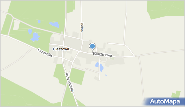 Cieszowa, Kasztanowa, mapa Cieszowa