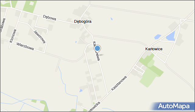 Dębogóra gmina Czerwonak, Kasztanowa, mapa Dębogóra gmina Czerwonak