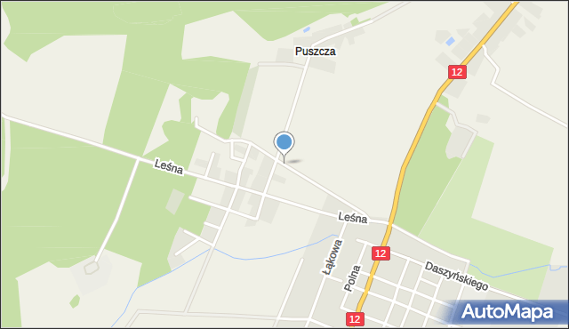 Górczyna gmina Szlichtyngowa, Kasztanowa, mapa Górczyna gmina Szlichtyngowa